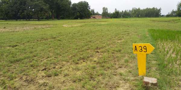 Buy Plots Free at LKO-RBL Road