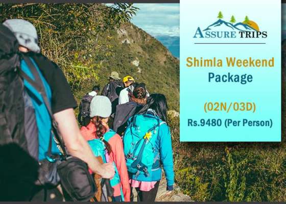 Himachal Honeymoon Tour Package | Assure Trips