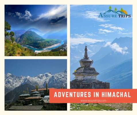 Himachal Honeymoon Tour Package | Assure Trips