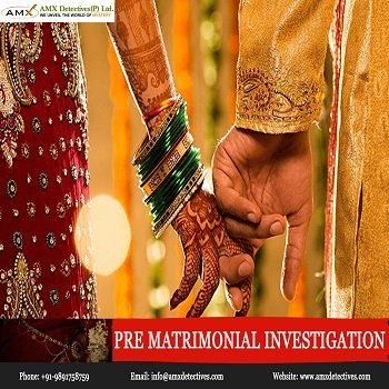 Proficient Investigator for Pre Matrimonial investigation