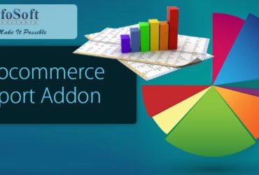 Woocommerce Report Addon