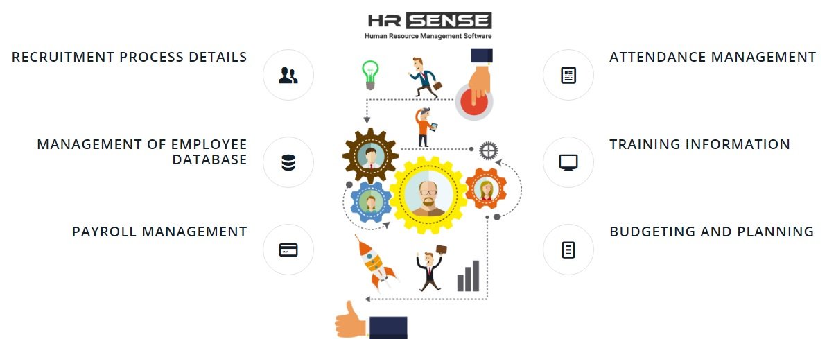 HR Sense – HR Management Software