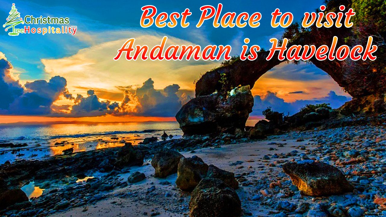 Andaman tour packages – Christmas Tree Hospitality.