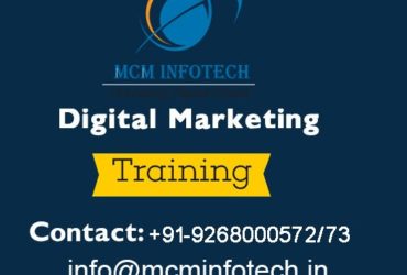 Top 10 IT Training Institute in Delhi | MCM Infotech