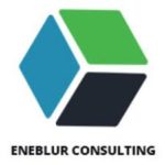 eneblurconsulting