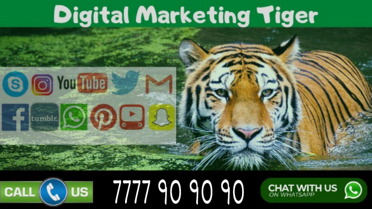 India’s Best Digital Marketing, Website Design & Development Services Provider Just A Call Away !