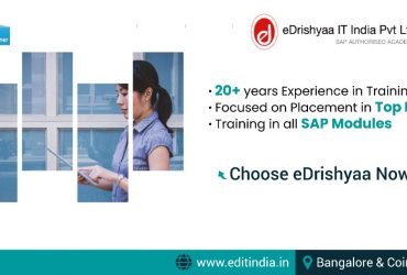 edrishyaa IT India Pvt Ltd-SAP PARTNER