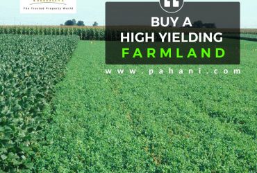 Agriculture Land For Sale In Hyderabad | Agriculture Land For Sale In Vikarabad