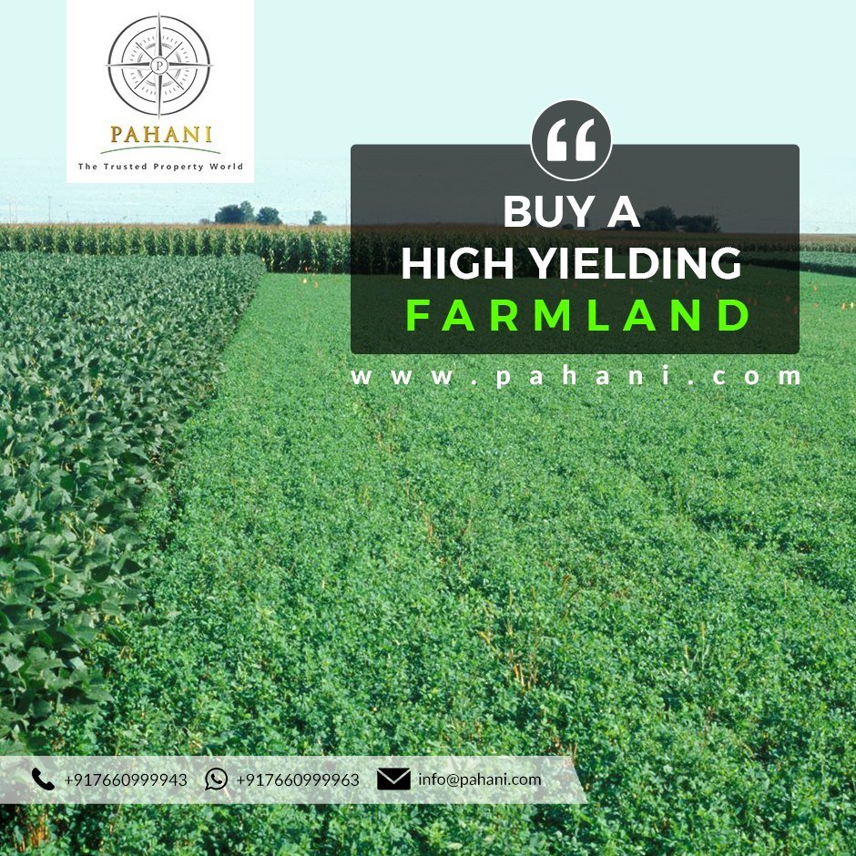 Agriculture Land For Sale In Hyderabad | Agriculture Land For Sale In Vikarabad