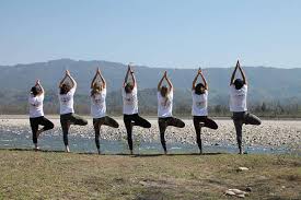 Hatha yoga Teacher Training India | Yoga Courses Rishikesh | Pratham Yoga