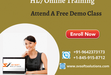 Best HL7 Online Training from SV SoftSolutions