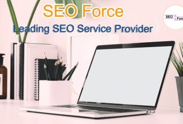 SEO Company in Salem – SEO Force