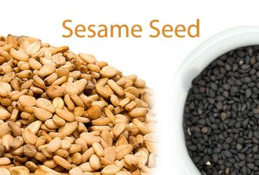 Sesame Seed producer in gujarat