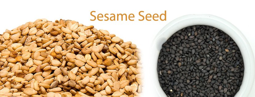 Sesame Seed producer in gujarat