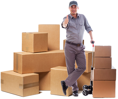 Professional Movers And Packers In Noida