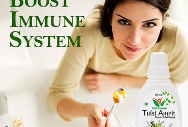 Tulsi Ark The Ancient Indian Immunity Booster