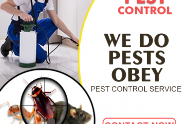 MM Pest Control Company In India