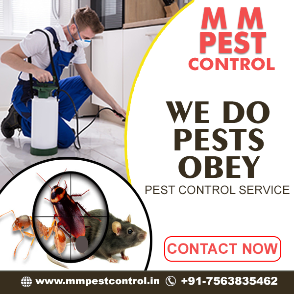 MM Pest Control Company In India