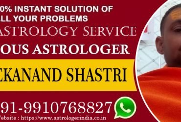 Best Astrologer in Delhi | Vivekanand Shastri