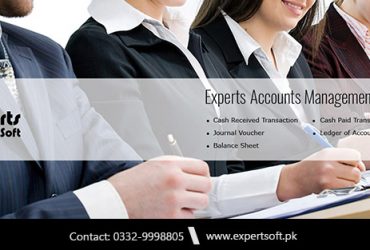 Online Accounting Software | Website | Desktop Software – Expert Soft