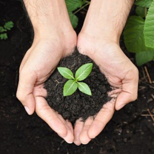 Vermicompost in Tamilnadu 