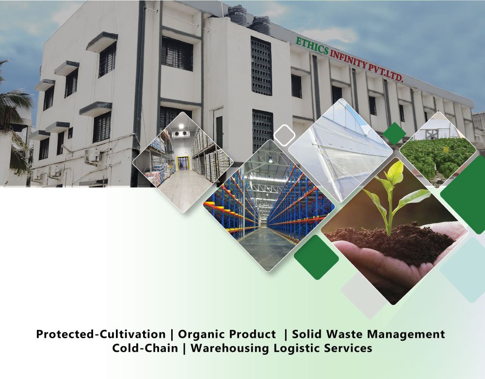 Low-cost Greenhouse Company | Ethics Infinity Pvt. Ltd.