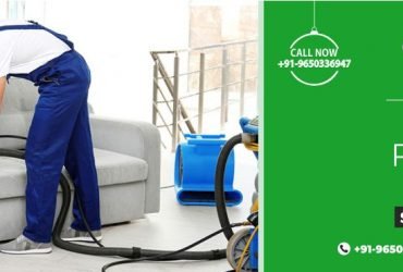 Best sofa cleaning service – one stop-destination | Dominant Services