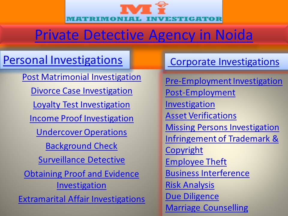 Famous Private Detective Agency in Noida