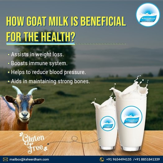 Goat milk suppliers in Delhi | Ksheerdham Dairy Products