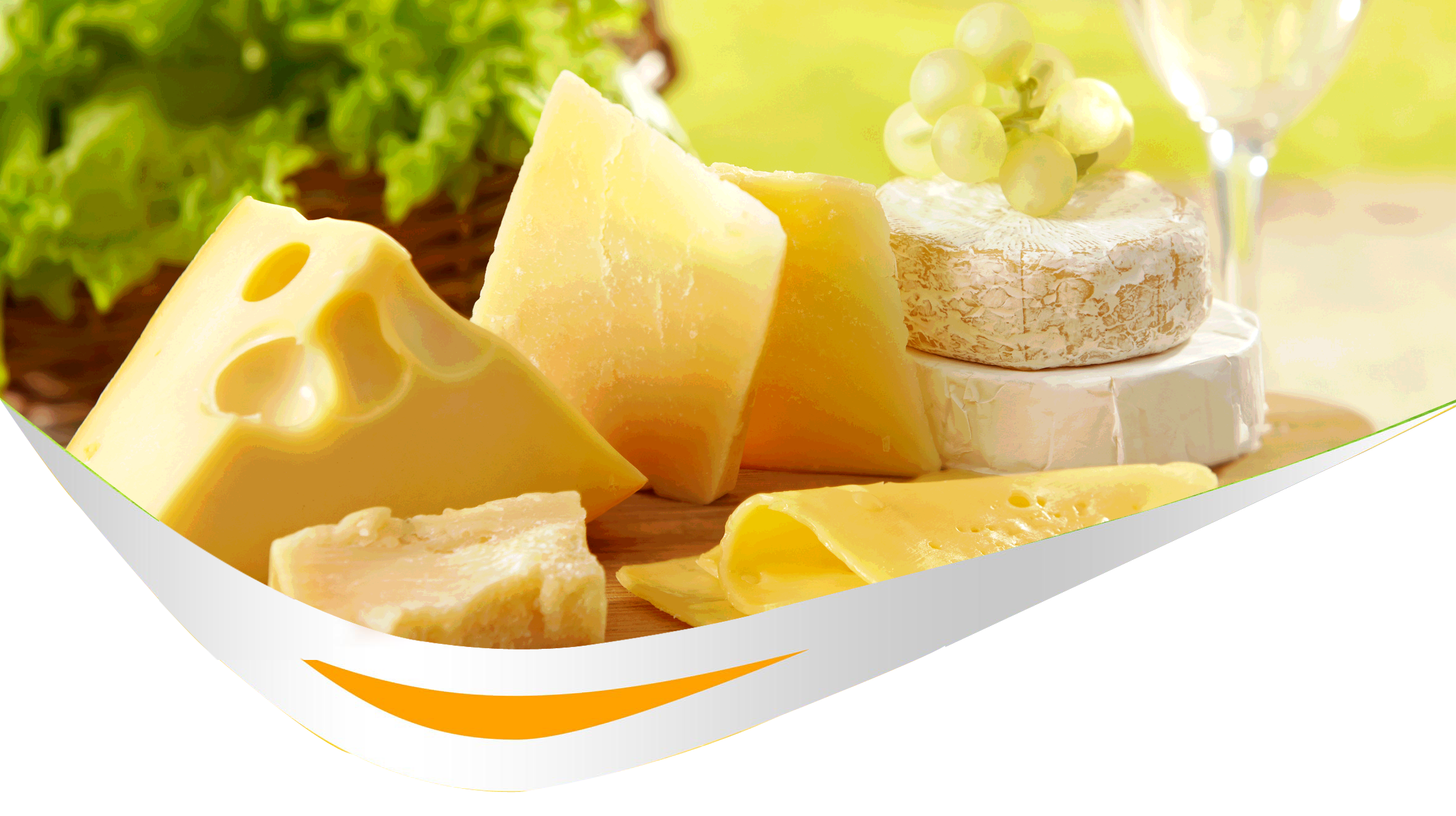 Cheese Manufacturers in India