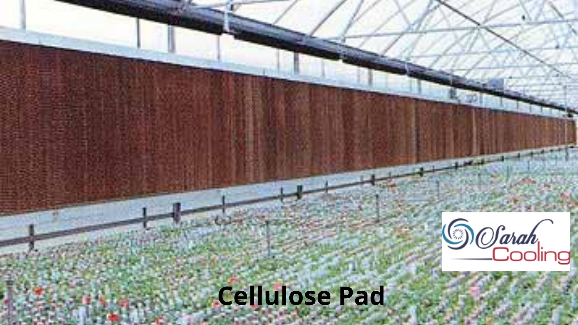 Cellulose Pad Manufacturers – Sarahcooling