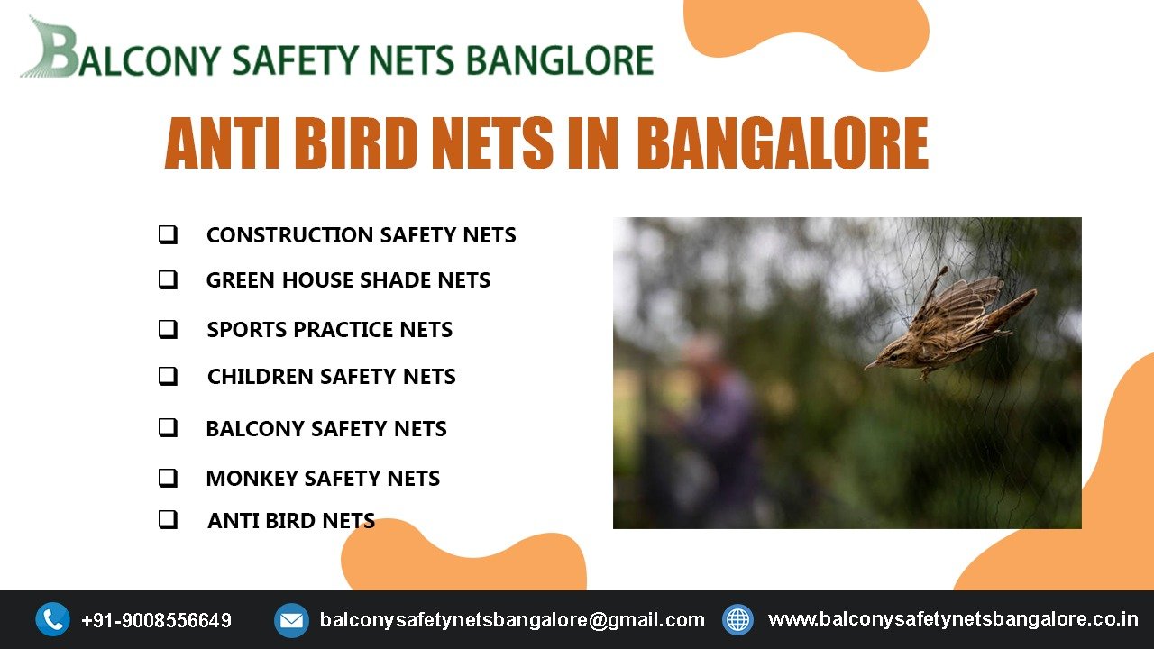 Anti Bird Nets in Bangalore