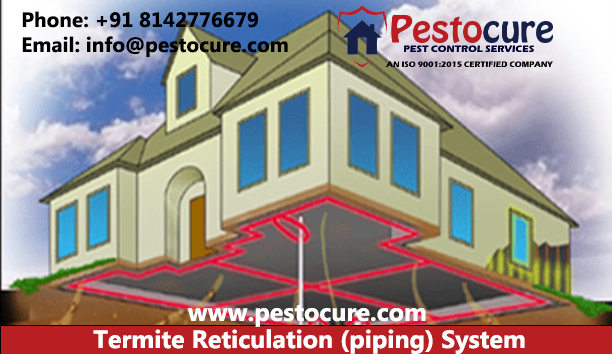 Termite Reticulation (Termite Piping) System in Hyderabad | Termite Reticulation (Termite Piping) System.