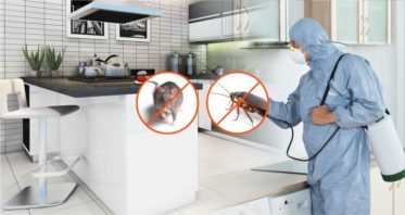 Cheap Pest Control Services in Noida At @399