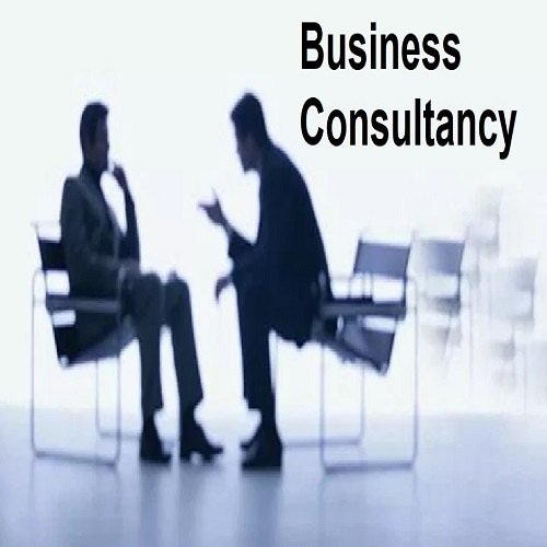 Business Consultancy Company In Lucknow