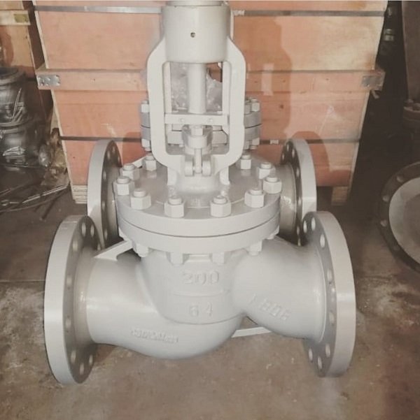 Super Duplex Globe Valve Manufacturer in India