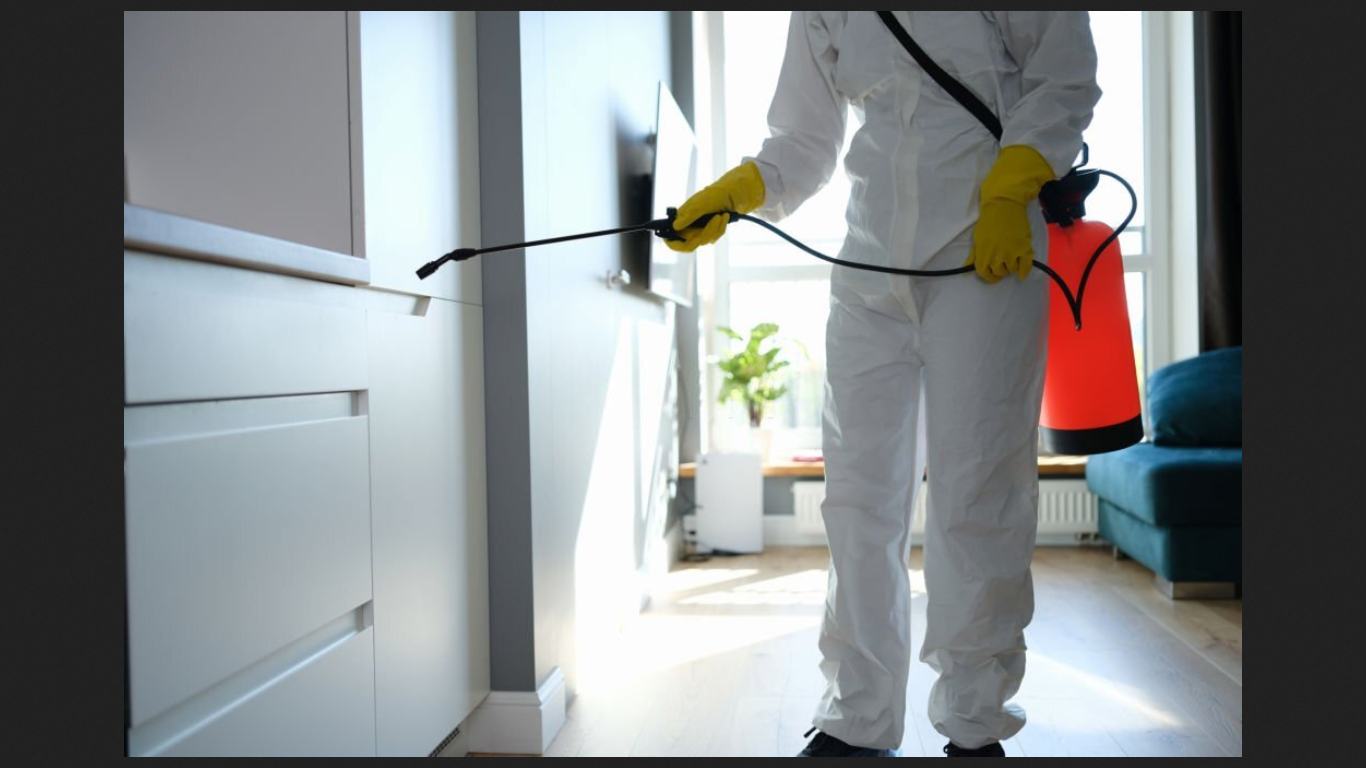 Pest Control Adelaide