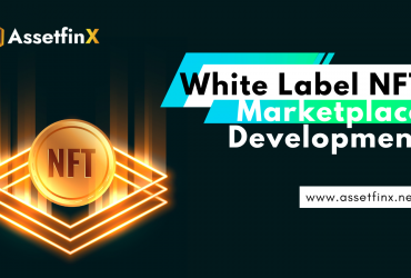 Best White Label NFT Marketplace Development service – AssetfinX