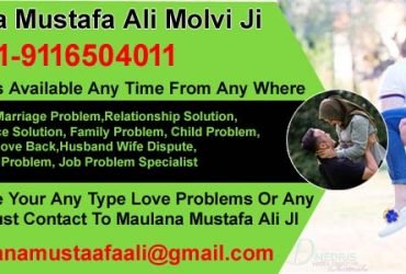 ALL TYPE LOVE PROBLEM SOLUTION SPECIALIST