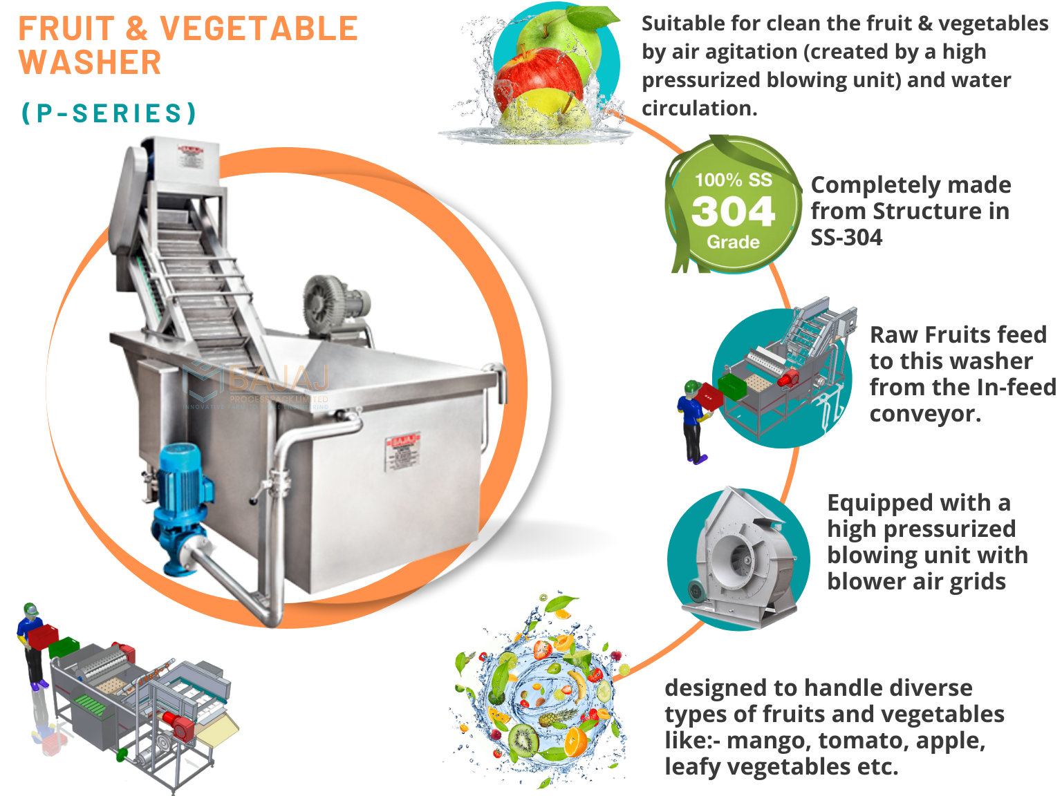 Fruits and vegetable washer