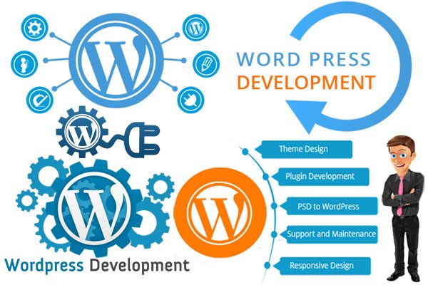 Indian Web design Company | Great Web Dev