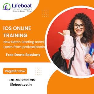 Lifeboat Technologies – Software Training Institute