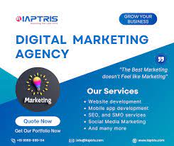 social media marketing agency in india