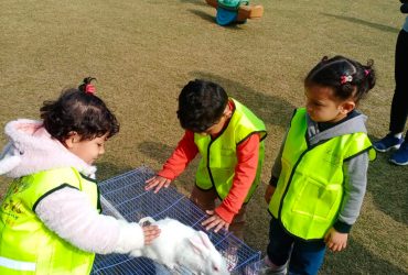 Daycare in Delhi