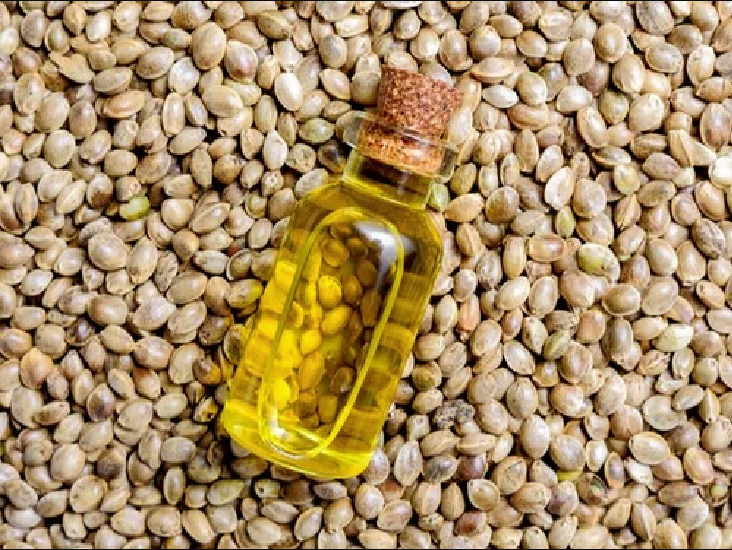 Hemp Seed Oil for Skin