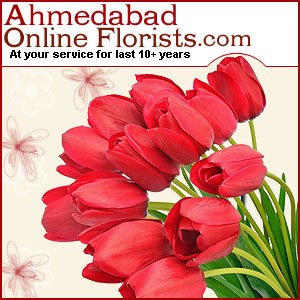 Send Flower Delivery to Ahmedabad Today – Cheapest Price Guaranteed