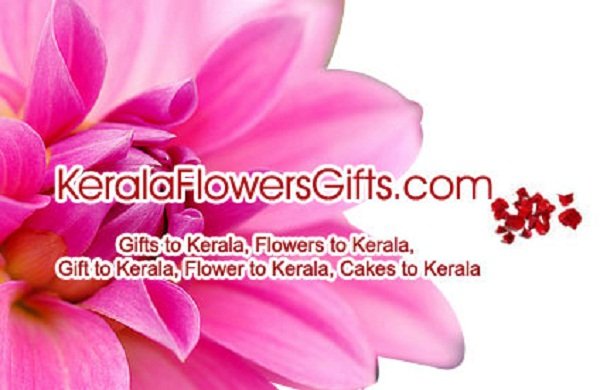 Online Cake Delivery in Kerala & Less-priced Captivating Deals with Free Shipping