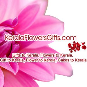 Send Fresh and Beautiful Flowers to Kerala – Same Day Delivery Assured