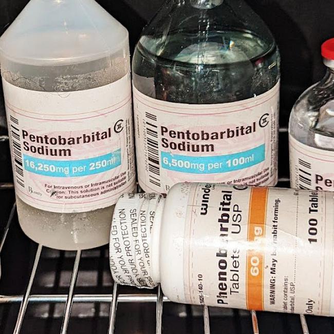 pure nembutal pentobarbital  sodium for sale in liquid, pills and powder form