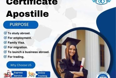 Diploma Certificate Apostille: Unlocking Global Acceptance for Educational Credentials